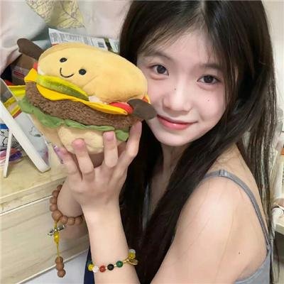 追讨者